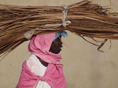 SINE SALOUM - SENEGAL